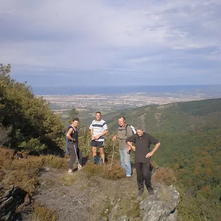 Gasthof Le Mouscaillou Escoussens