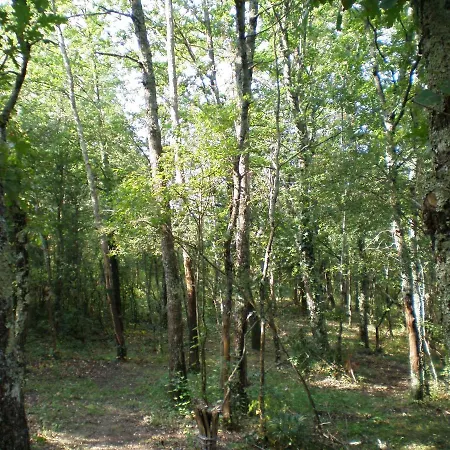 Gasthof Le Mouscaillou *